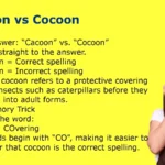 Cacoon vs Cocoon