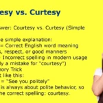 Courtesy vs. Curtesy