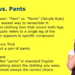 Pant vs. Pants