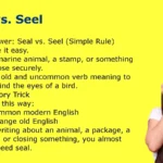 Seal vs. Seel