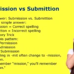 Submission vs Submittion