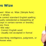 Wise vs Wize