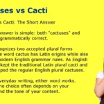 Cactuses vs Cacti