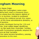 Cunningham Meaning