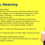 Delulu Meaning