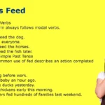 Fed vs Feed