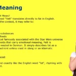 Fett Meaning