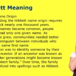 Hibbett Meaning