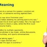 OPP Meaning