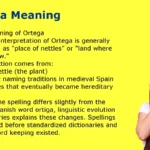 Ortega Meaning