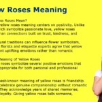 Yellow Roses Meaning